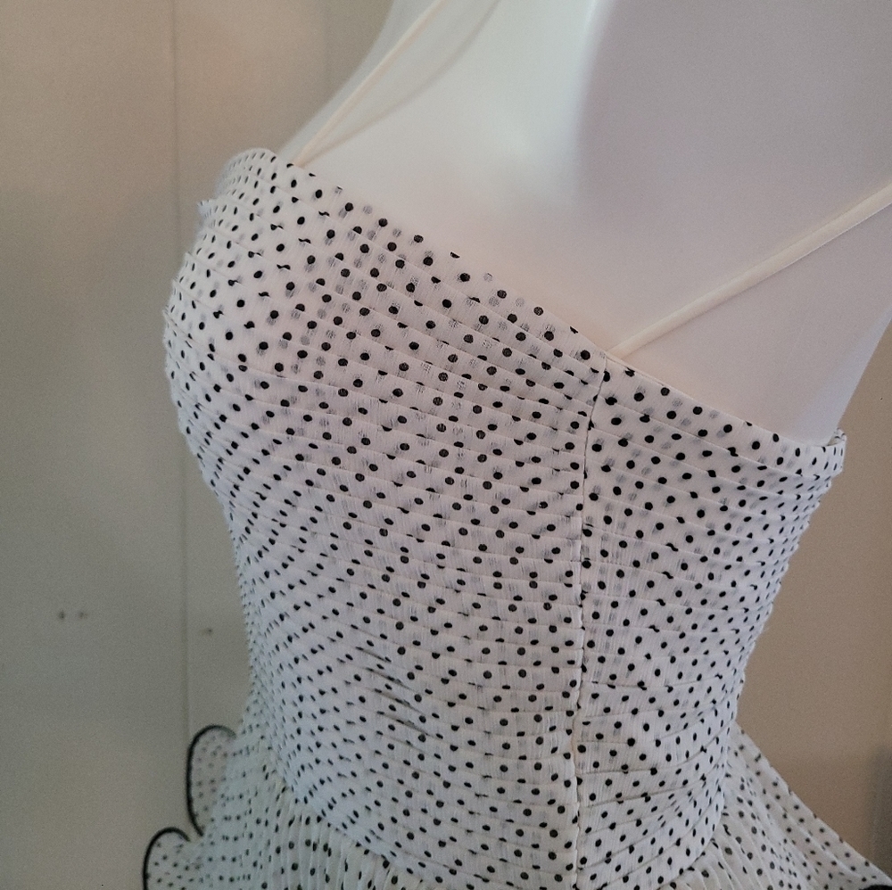 Erin Fetherston Women's Strapless Tier Ruffle Sweet Party Dress - Size 2 - Picture 3 of 12